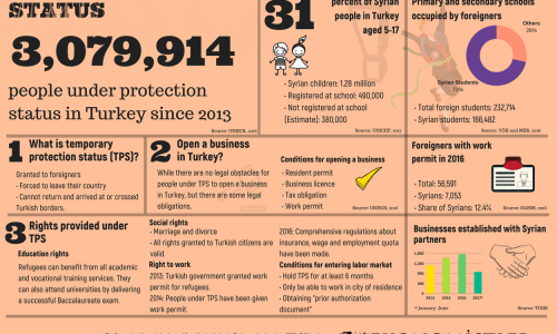 Brief Overview of the Syrians in Turkey